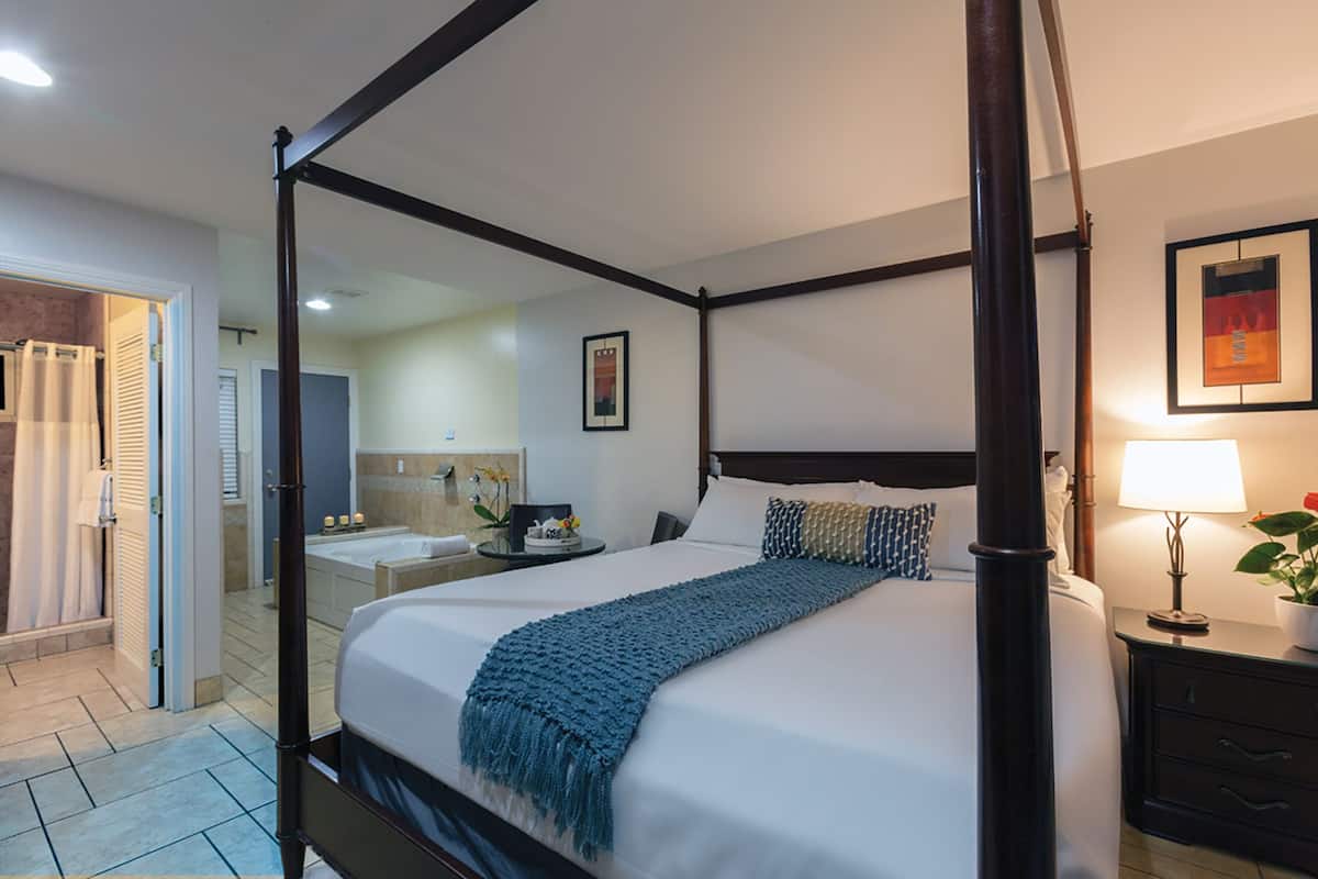 Deluxe Room, 1 King Bed, Jetted Tub | View from room