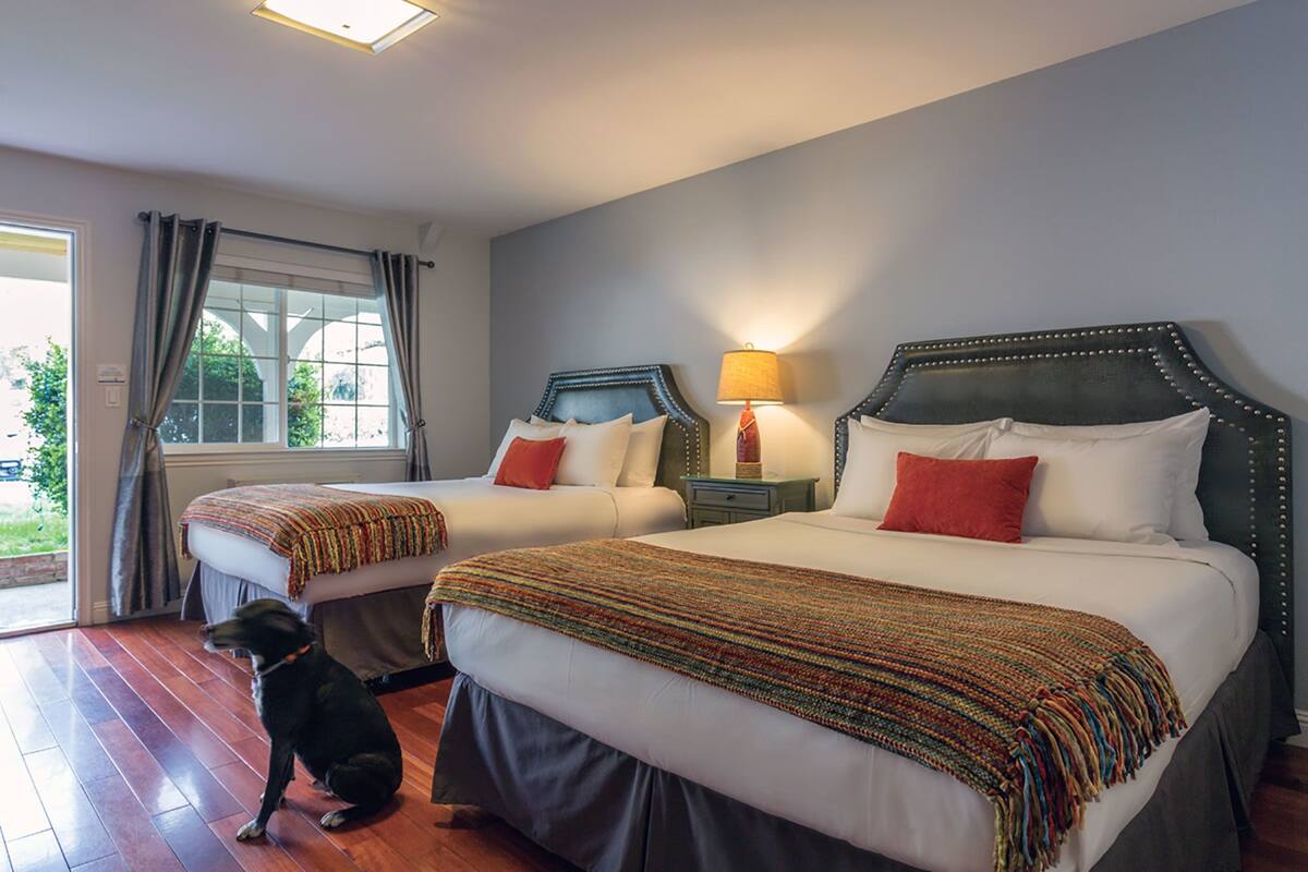 Standard Room, 2 Queen Beds, Refrigerator & Microwave, Mountainside | WiFi (free), individually decorated, individually furnished, bed sheets