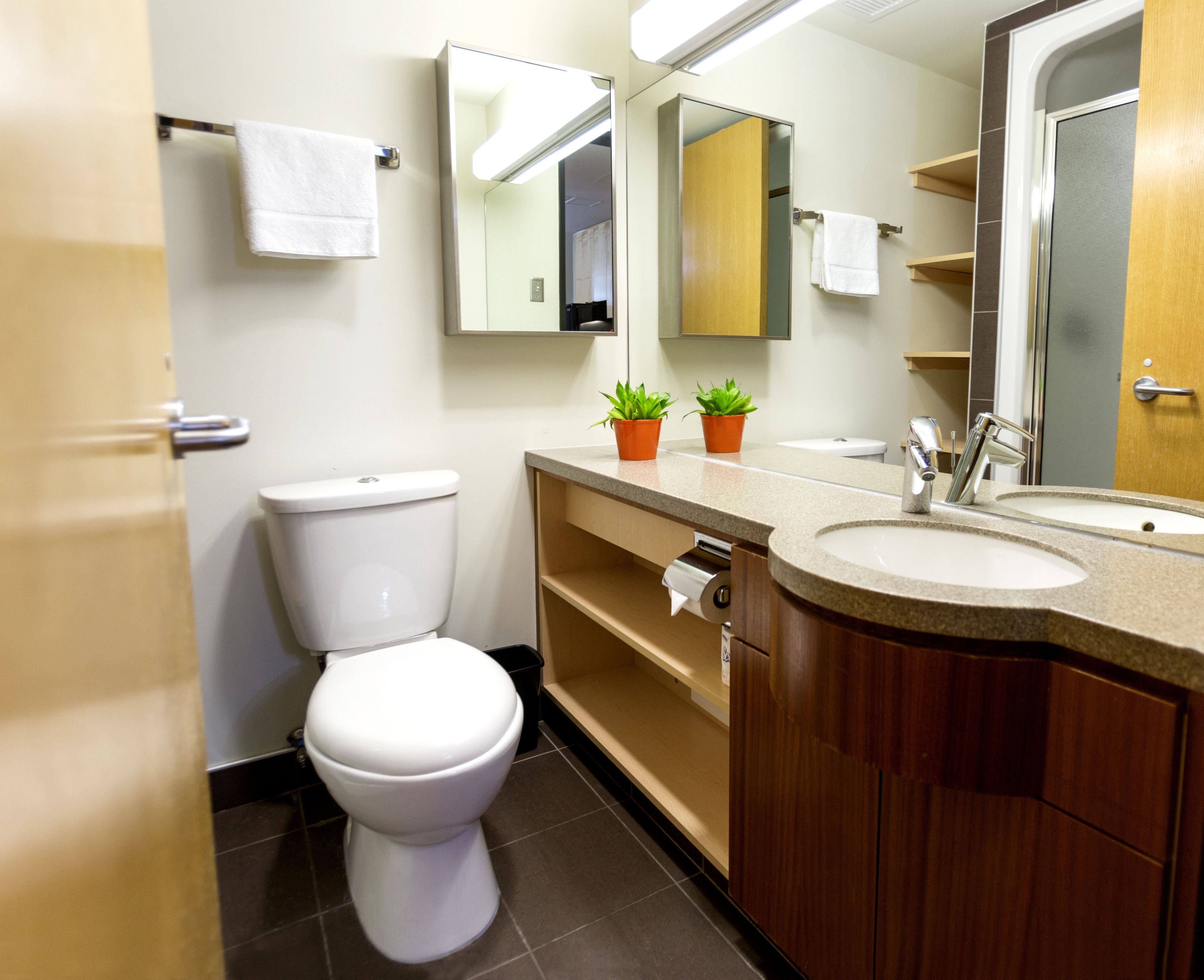 A modern bathroom with a toilet, sink, and mirror. There are two potted plants on the vanity.