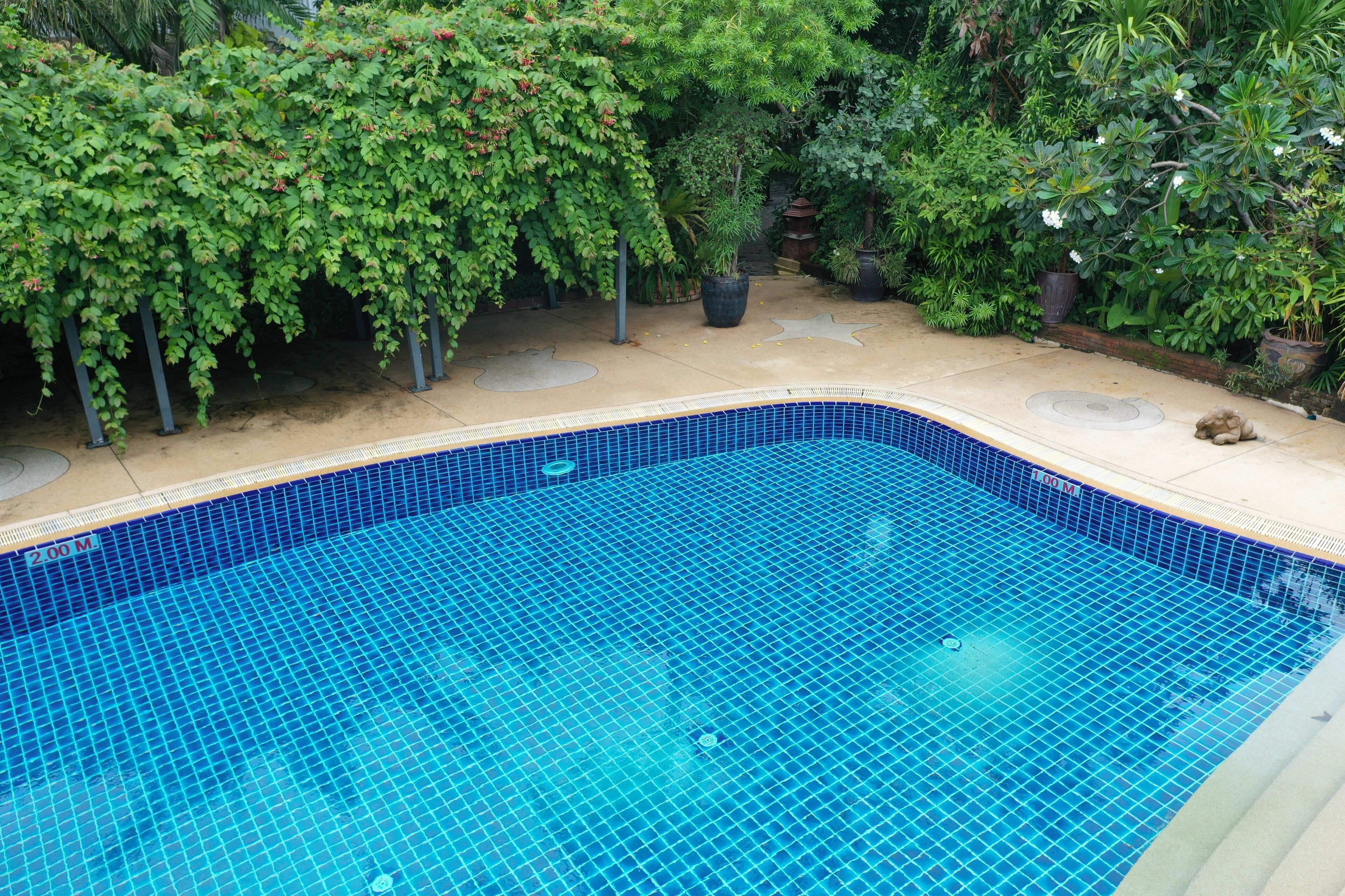 A rectangular pool with blue tiles, surrounded by various potted plants and greenery.