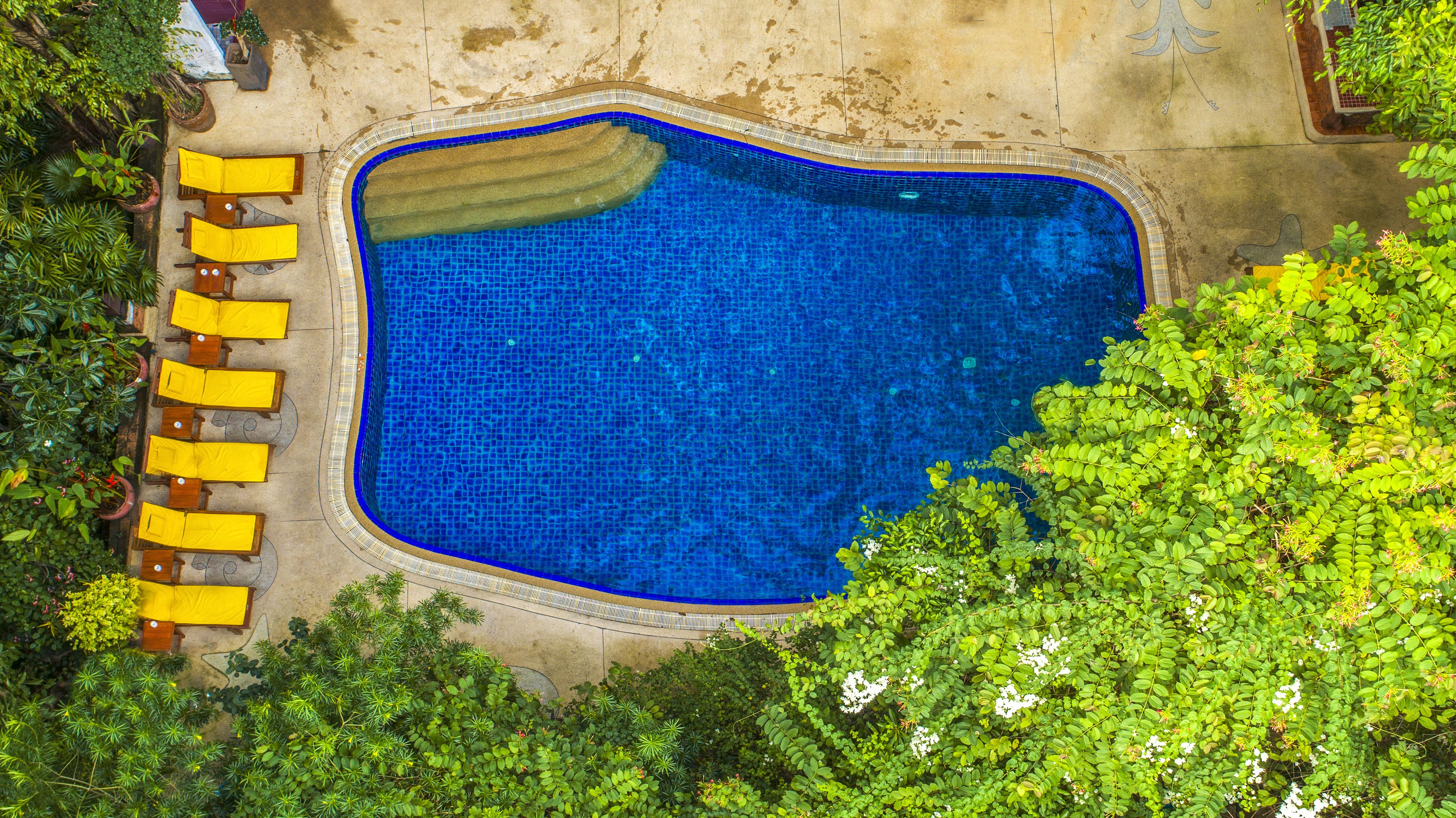 屋外プール