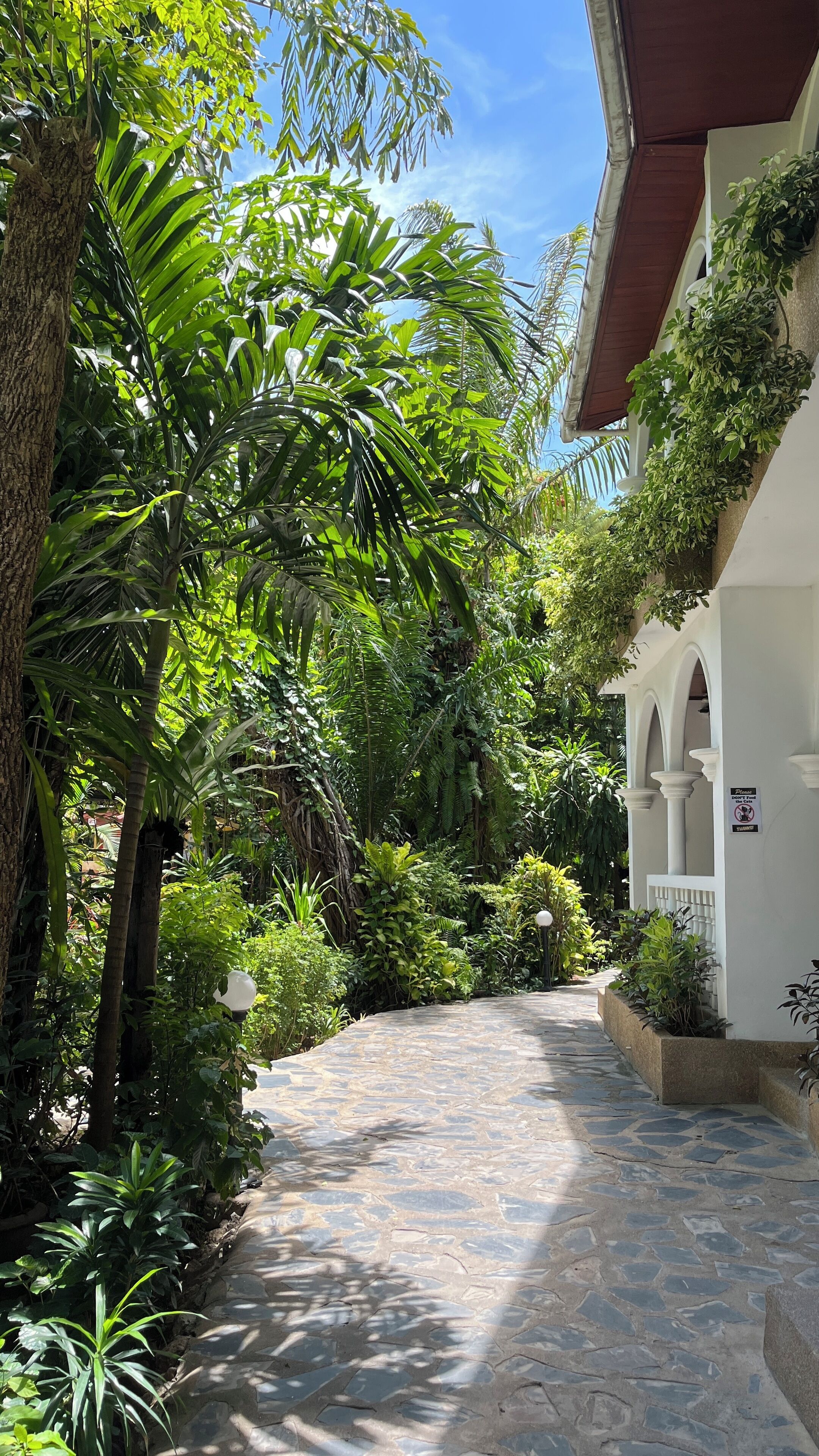Un chemin de pierre traverse un jardin luxuriant où poussent diverses plantes tropicales, et mène à un bâtiment blanc orné d’arches et d’une enseigne.