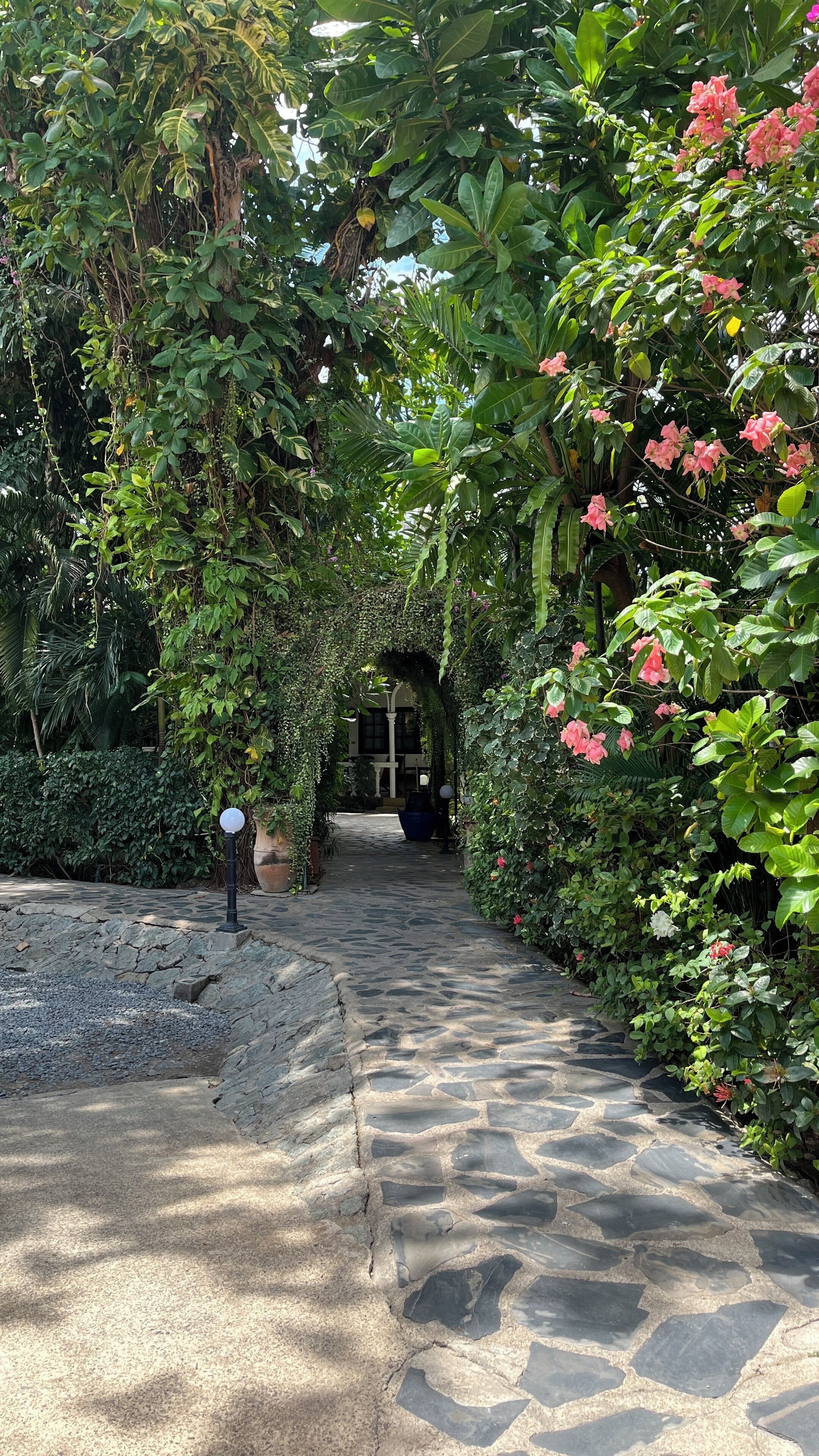Un sendero de piedra que atraviesa un exuberante jardín con abundante follaje y flores rosadas.