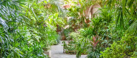 Phòng đôi Exclusive, 1 giường cỡ king, quang cảnh vườn | Quang cảnh từ phòng