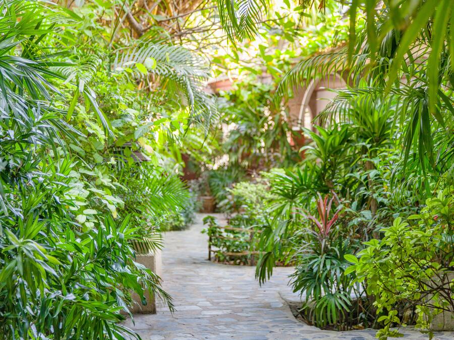 Habitación exclusiva doble, 1 cama de matrimonio grande, vistas al jardín | Vistas desde la habitación