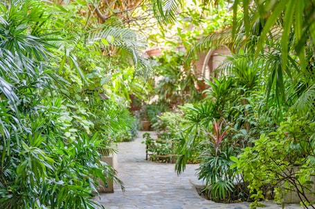 Vista desde la habitación