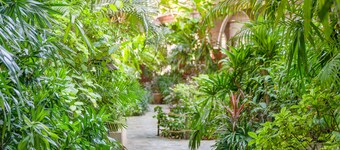 Tropica Bungalow Resort