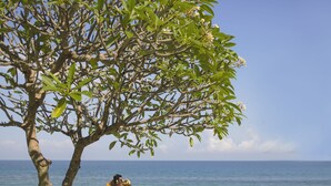 A beachside lounge with wooden lounge chairs and a tree providing shade. - Jeeva Klui Resort (Senggigi)