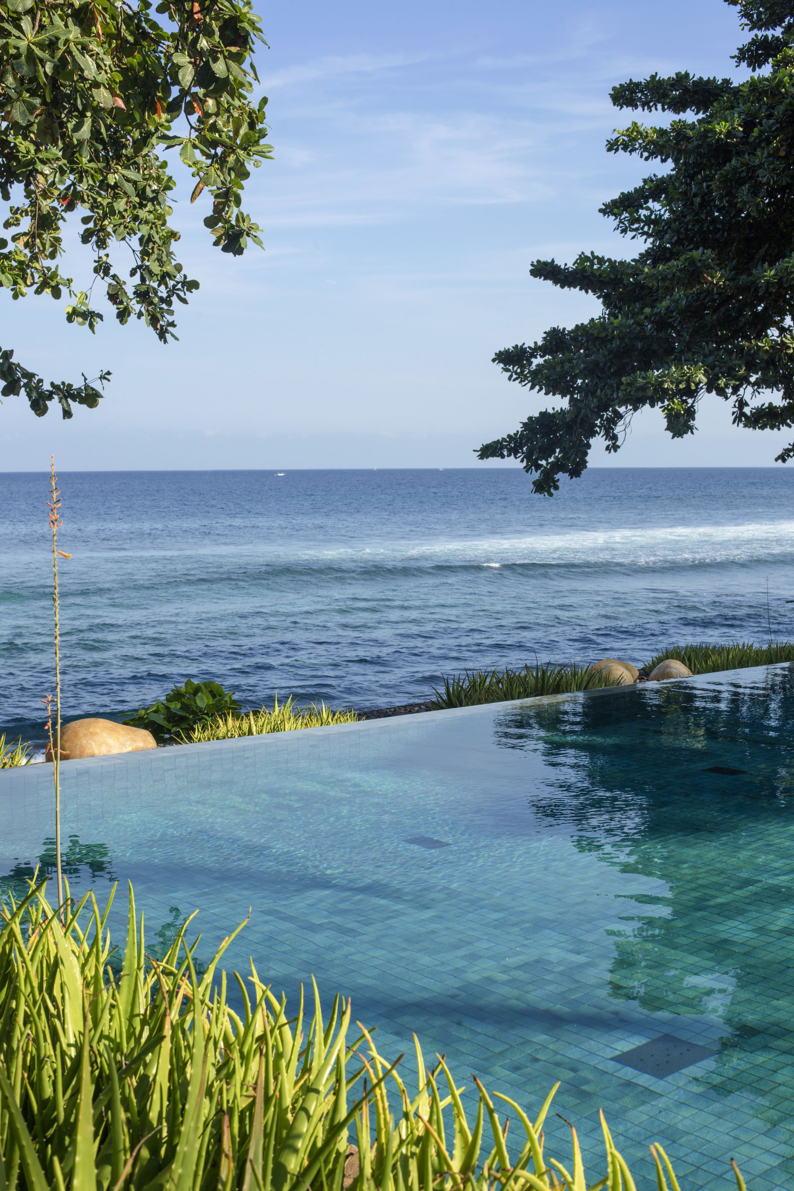 An infinity pool with a clear view of the ocean and a tree-lined edge.
