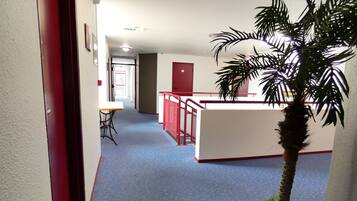 A hallway with a blue carpet, a red railing, and a palm tree.