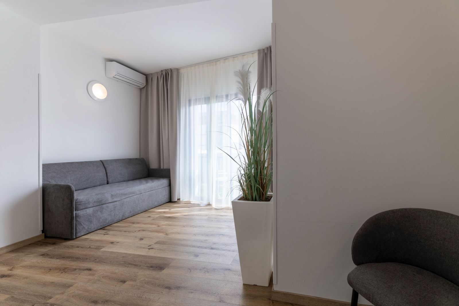 Un salon moderne avec un canapé gris, un pot de fleurs blanc contenant de grandes plantes et un plancher en bois.