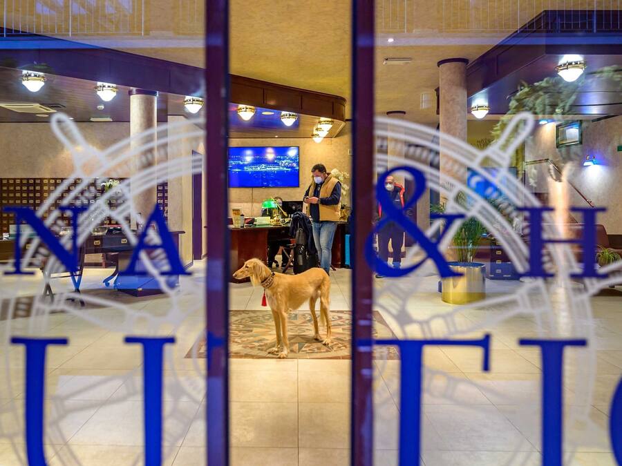 Een hotel lobby met een receptiebalie, een televisiescherm en een hond die in het midden staat.