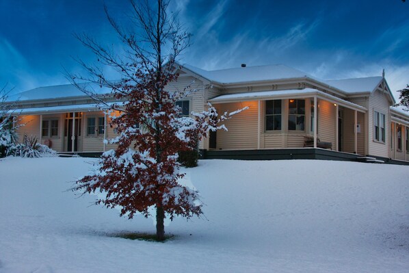 Una casa de dos pisos con tejado cubierto de nieve y un árbol pequeño al frente.