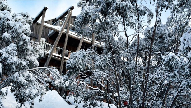 A wooden building with a balcony, surrounded by snow-covered trees. - Silverski (Falls Creek)