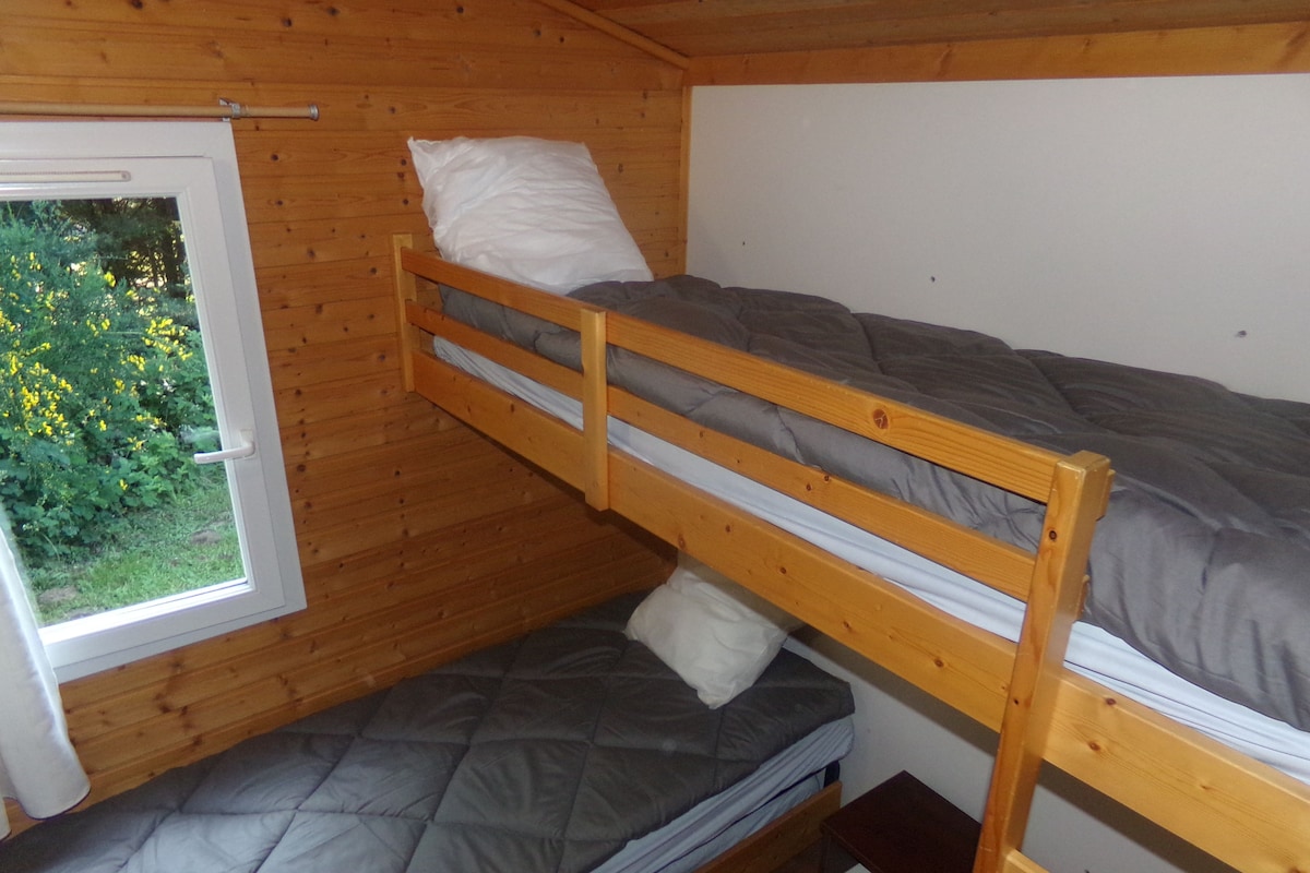 A bunk bed room with a window, wooden walls, and a view of greenery outside.