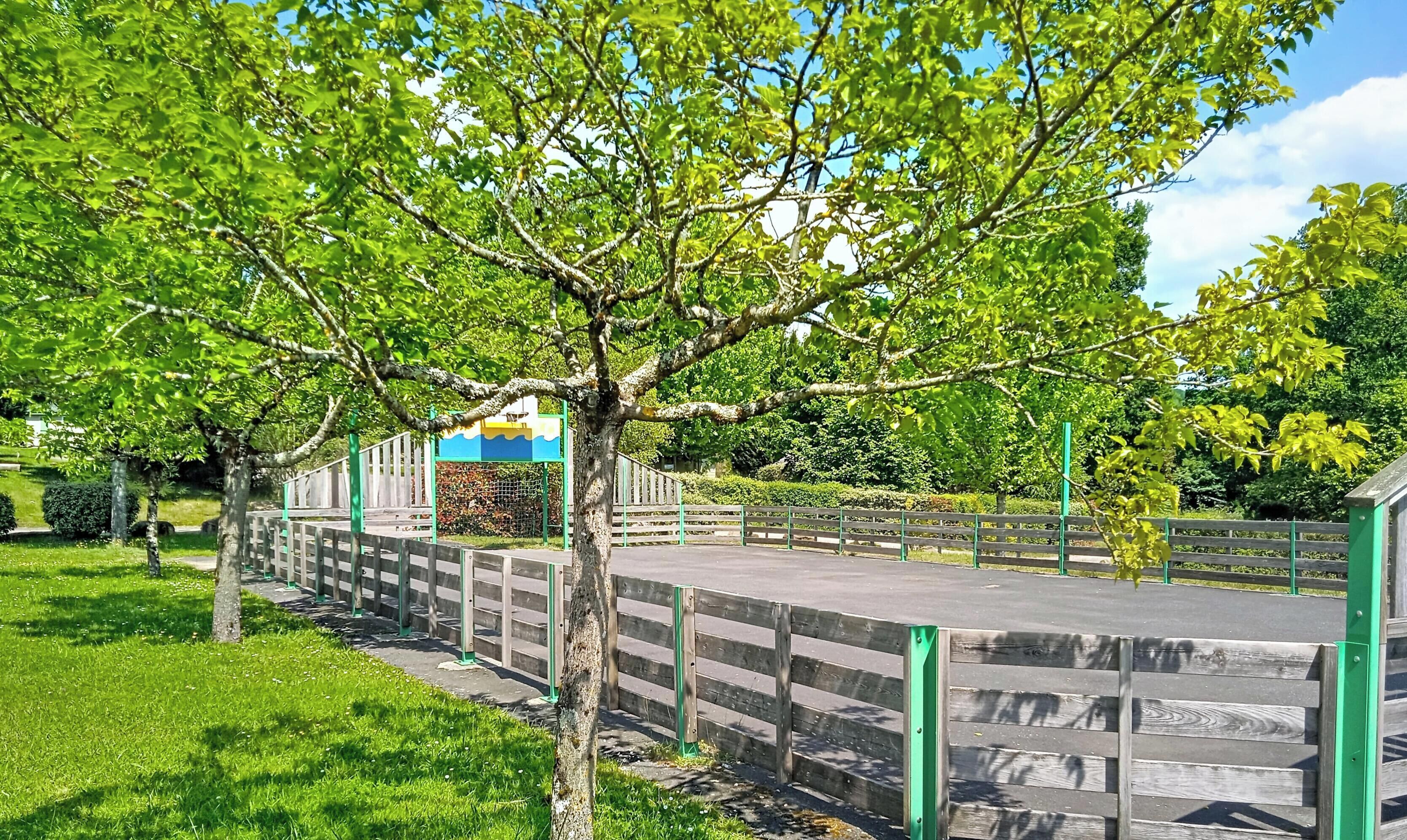 Un parque con cerca de madera, escalones y un árbol.