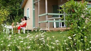 A small, single-story building with a sloped roof, surrounded by lush greenery and white flowers. - Terres de France - Les Hameaux de Correze (Lissac-sur-Couze)