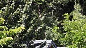 A small wooden cabin with a sloped roof, surrounded by lush greenery. - Terres de France - Les Hameaux de Correze (Lissac-sur-Couze)