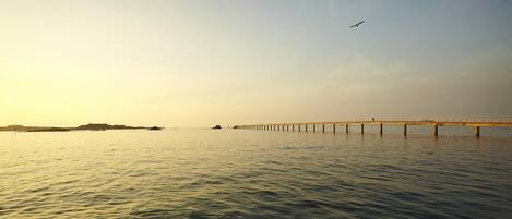 Un muelle se extiende sobre aguas tranquilas, bajo un cielo despejado, con un ave volando.