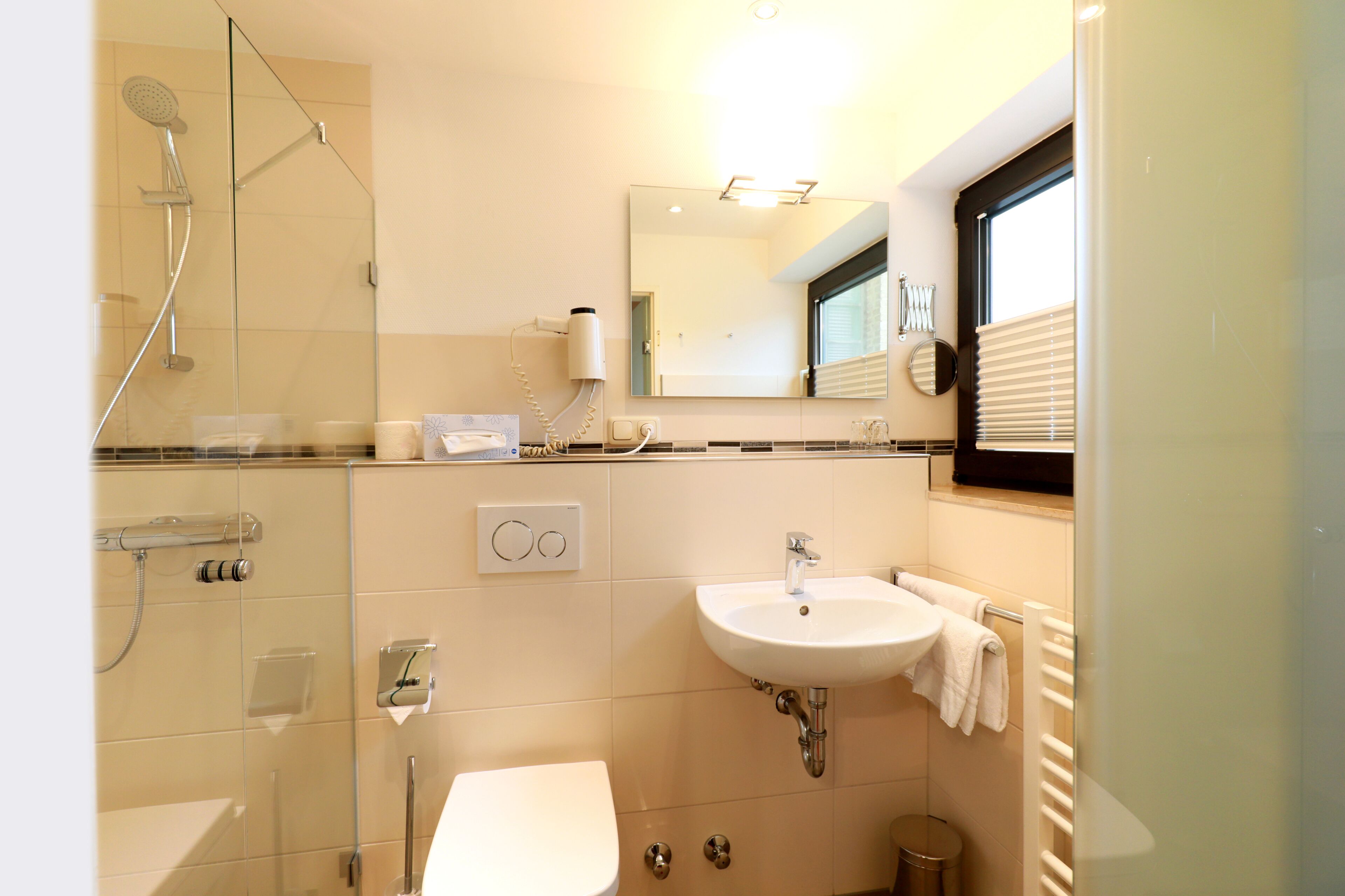 A modern bathroom with a glass-enclosed shower, a white sink, and a toilet.