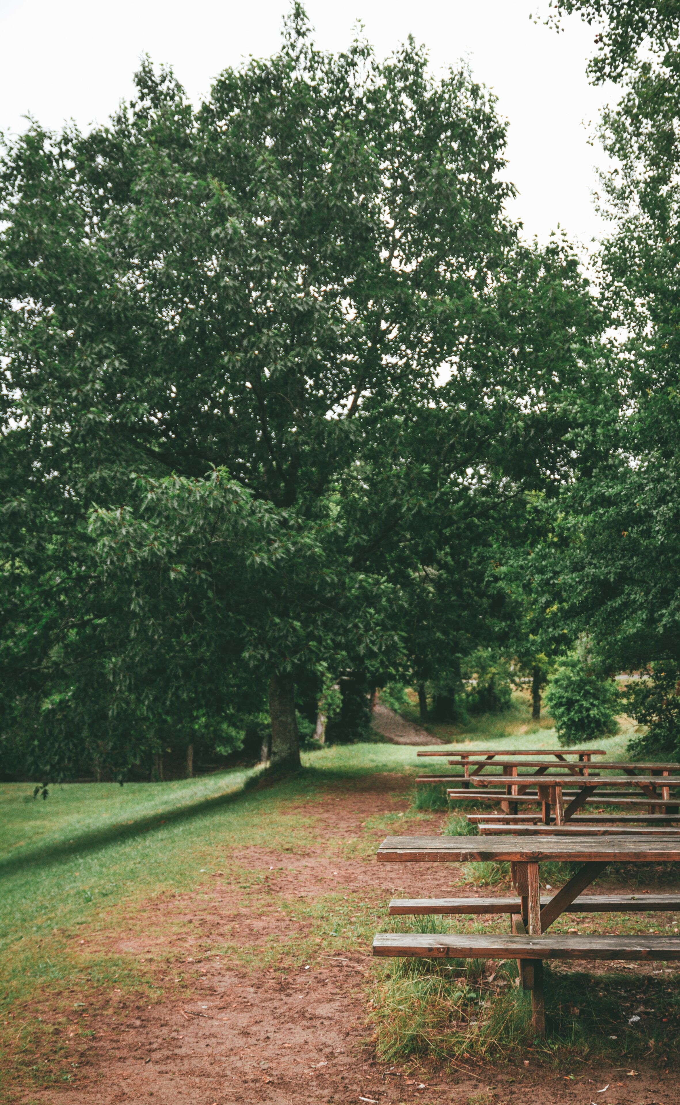 A park with picnic tables and a dirt path.