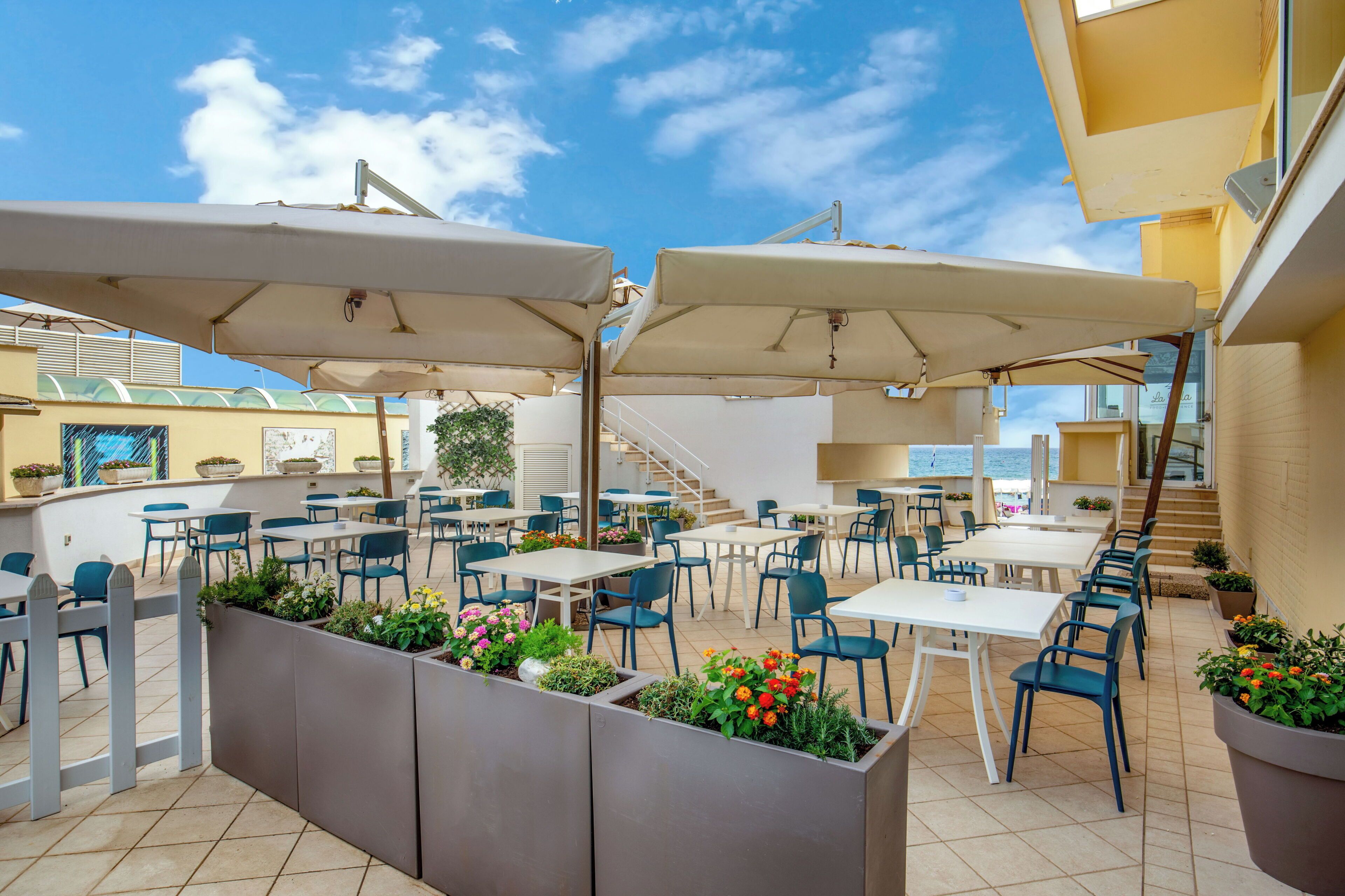 Terraza o patio