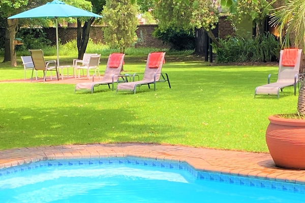 Outdoor pool, sun loungers