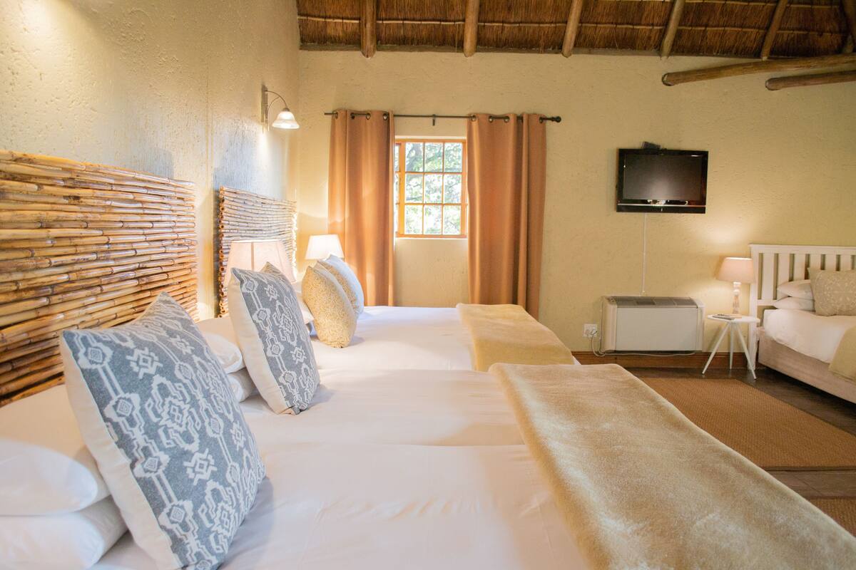 Una habitación de hotel con cama, sofá, televisor, ventana con cortinas y un calentador de pared.