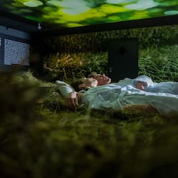 Sauna, steam room, body treatments, hot stone massages