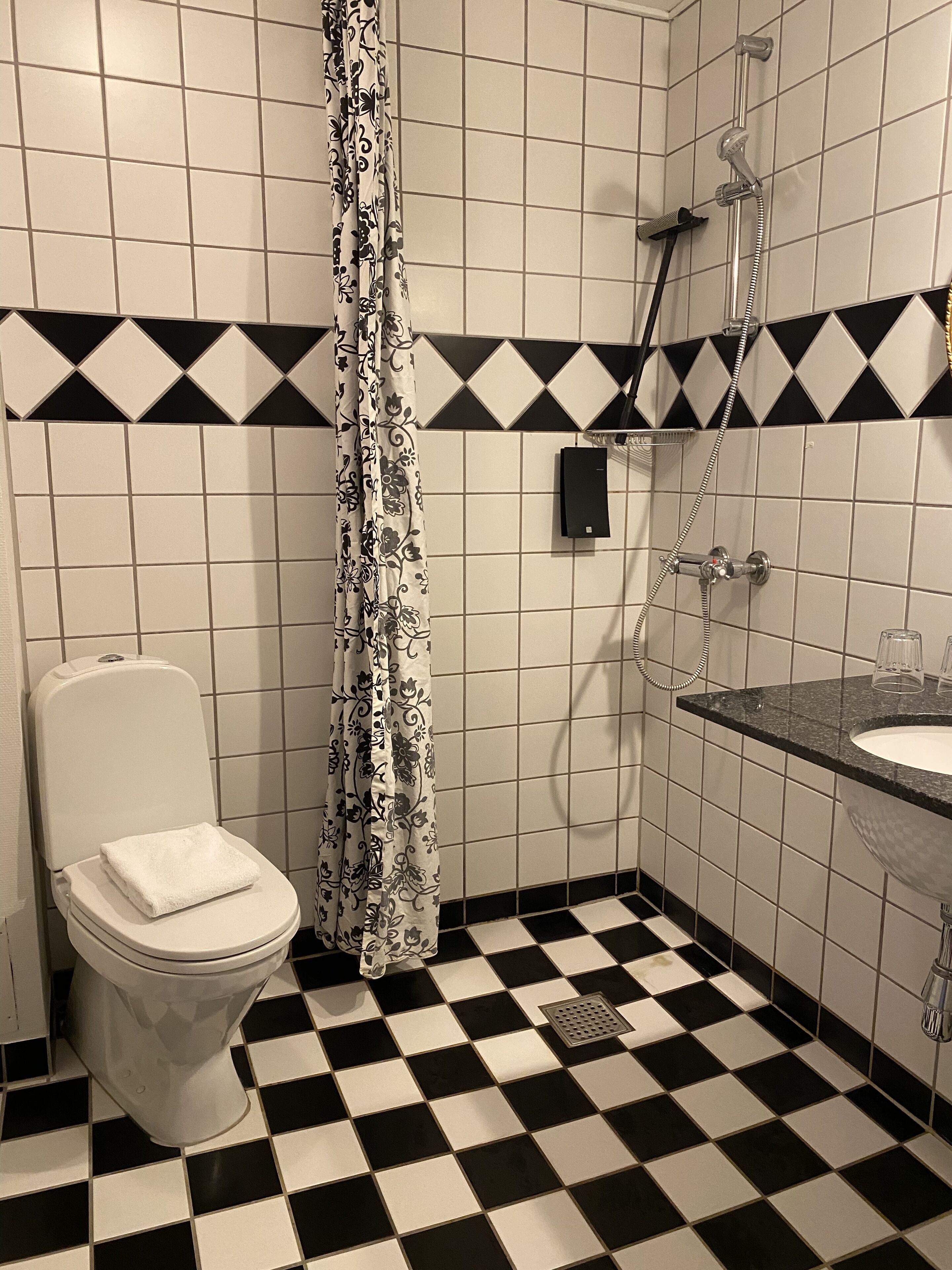 Un baño con inodoro, ducha y lavabo.