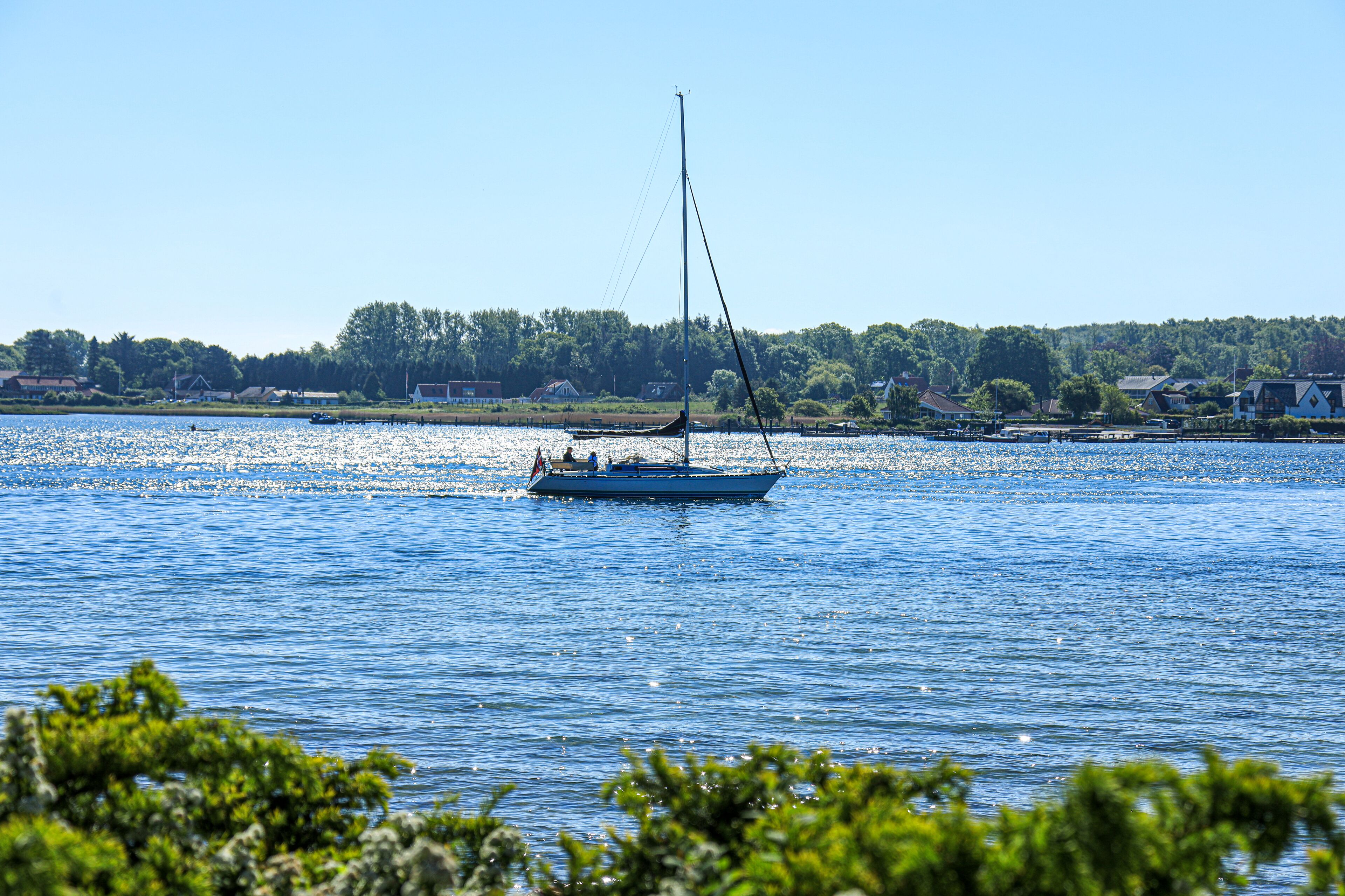 Ein Boot auf ruhigem Gewässer mit bewaldeter Uferlinie im Hintergrund.