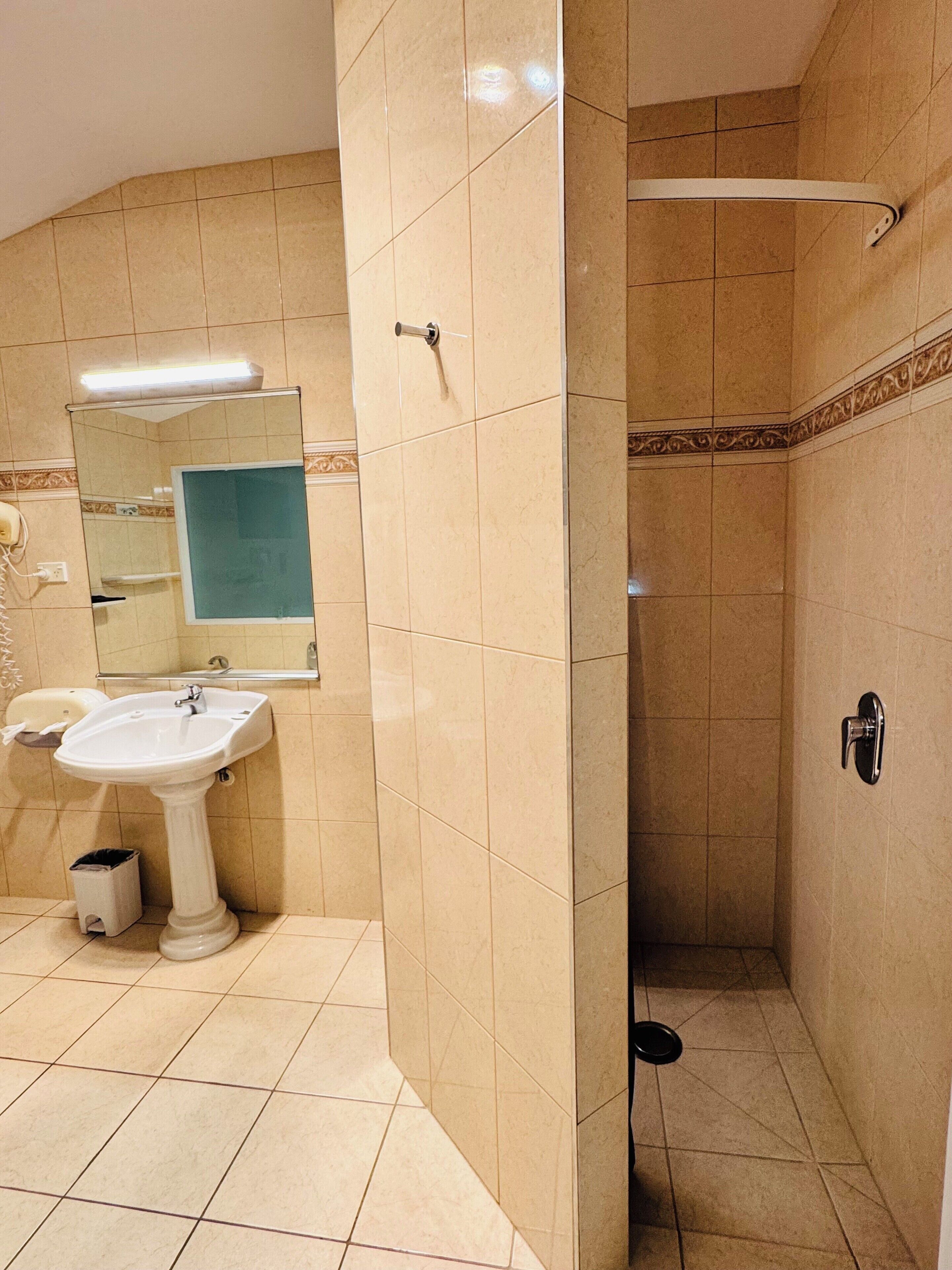 A bathroom with a sink, mirror, and shower.