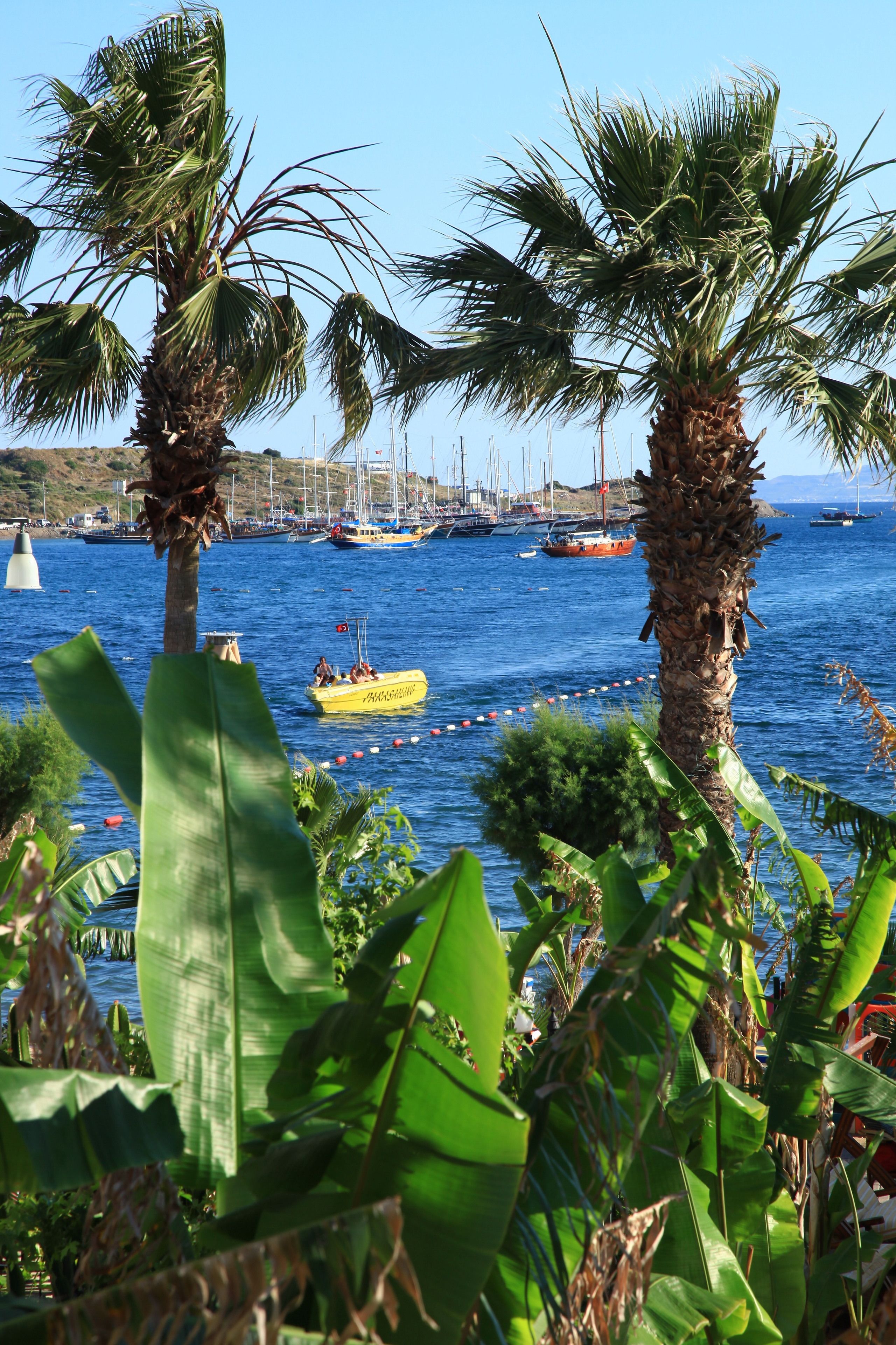 Foto - Parkim Ayaz Hotel