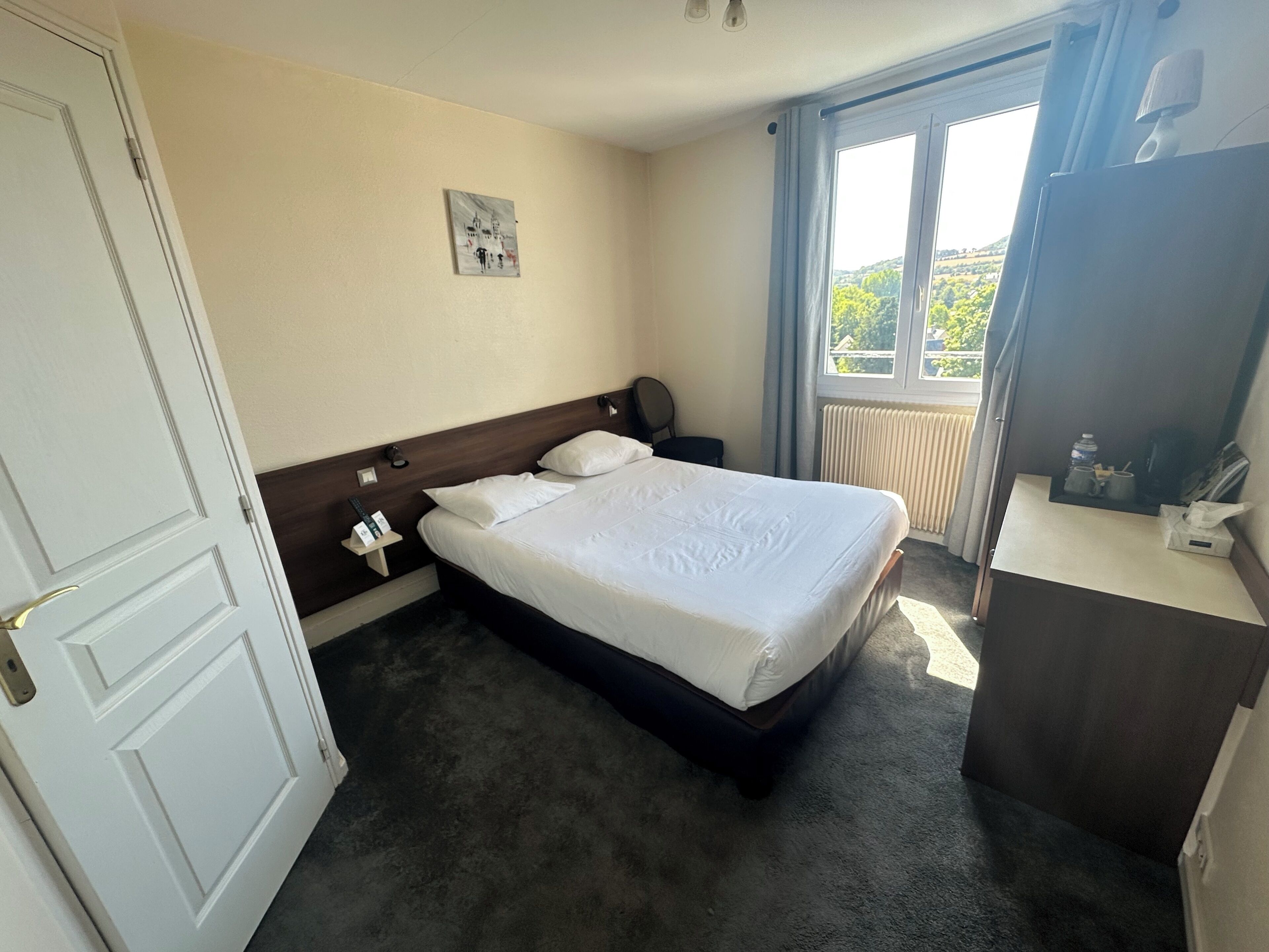 Une chambre d’hôtel avec un lit, une table de chevet, une commode, une fenêtre avec des rideaux et une vue sur la verdure.