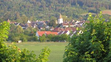 A rural village with traditional houses, a church, and a hill in the background.