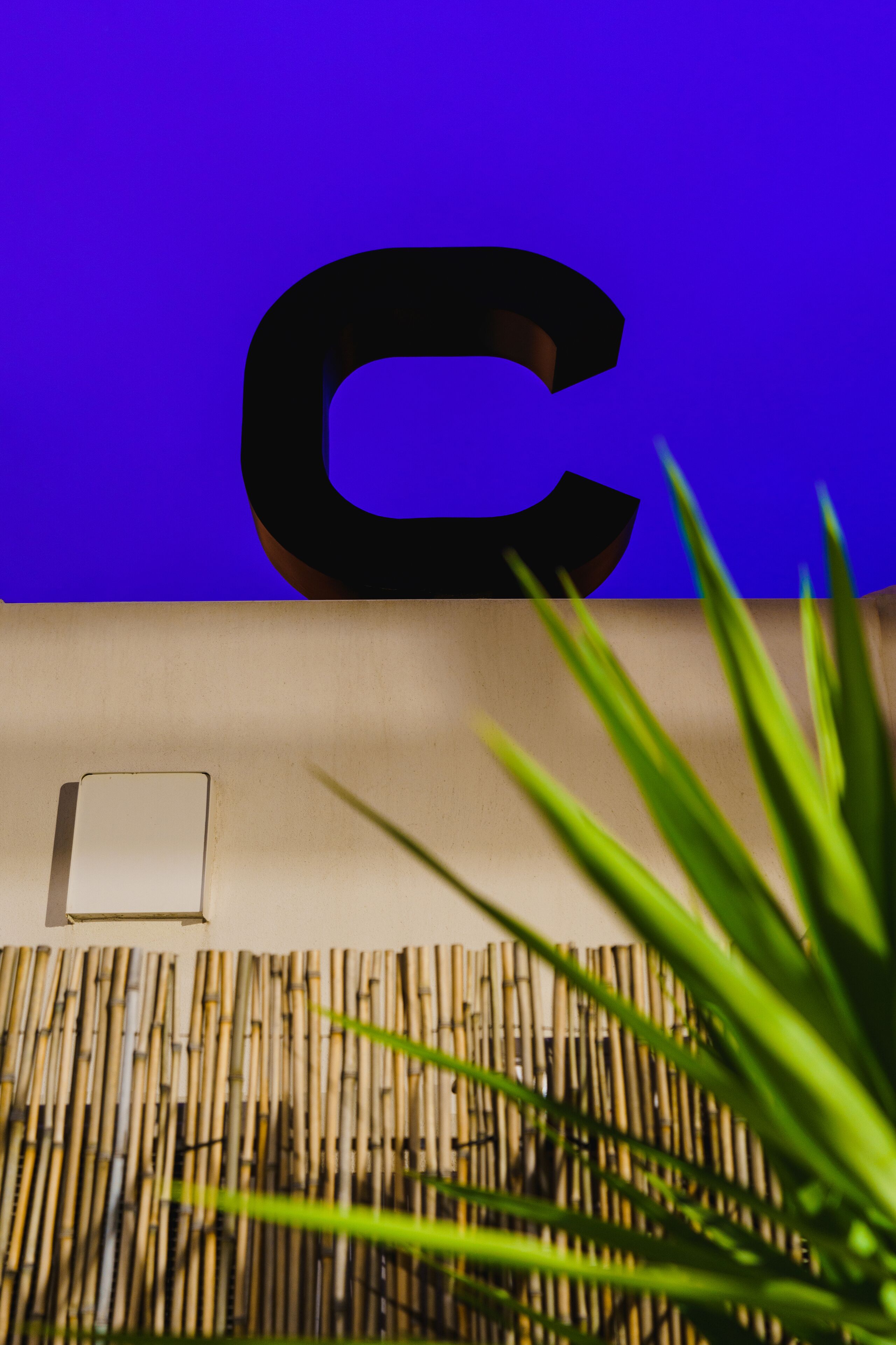 superior suite (jardin privé) | garden