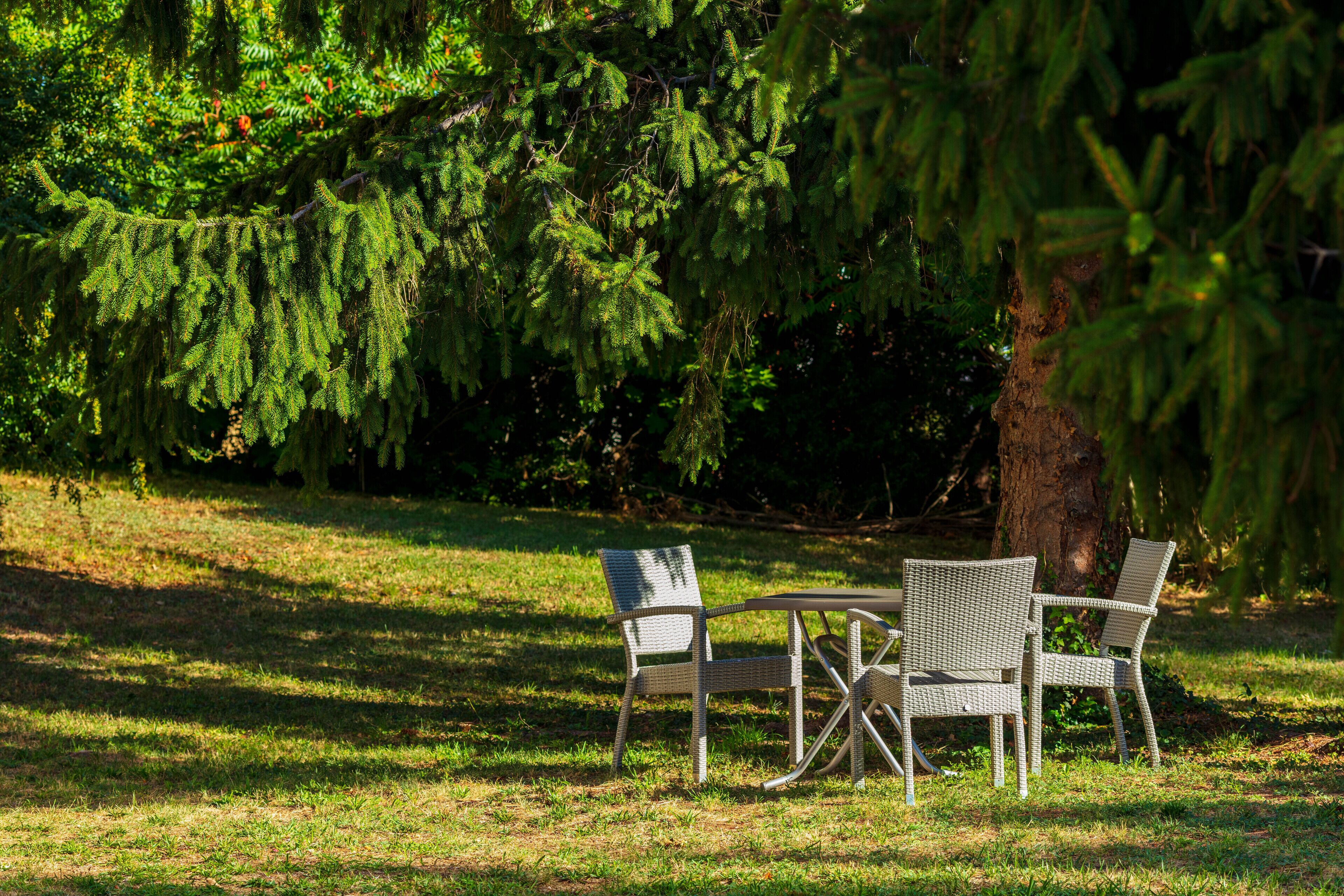 A table and four chairs in a grassy outdoor area with trees in the background.
