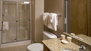 A bathroom with a glass-enclosed shower, a toilet, a sink with a granite countertop, and a mirror reflecting the room. - Bridgestreet at the Bingham (Cleveland)