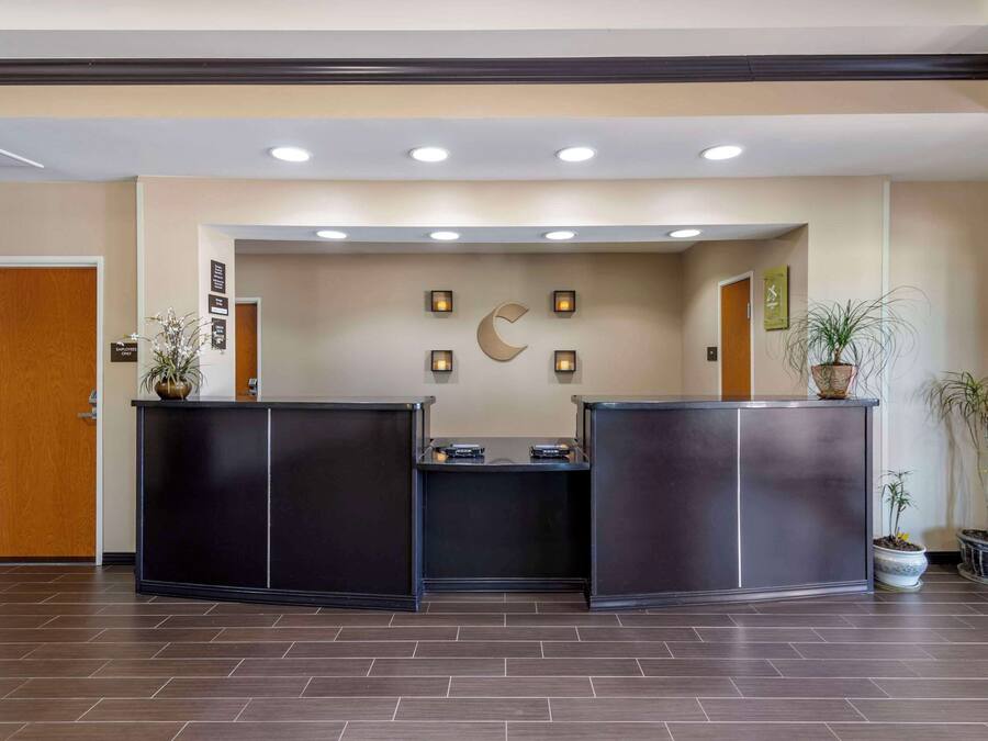 A reception area with a dark reception desk, a wall-mounted crescent moon decoration, and potted plants.