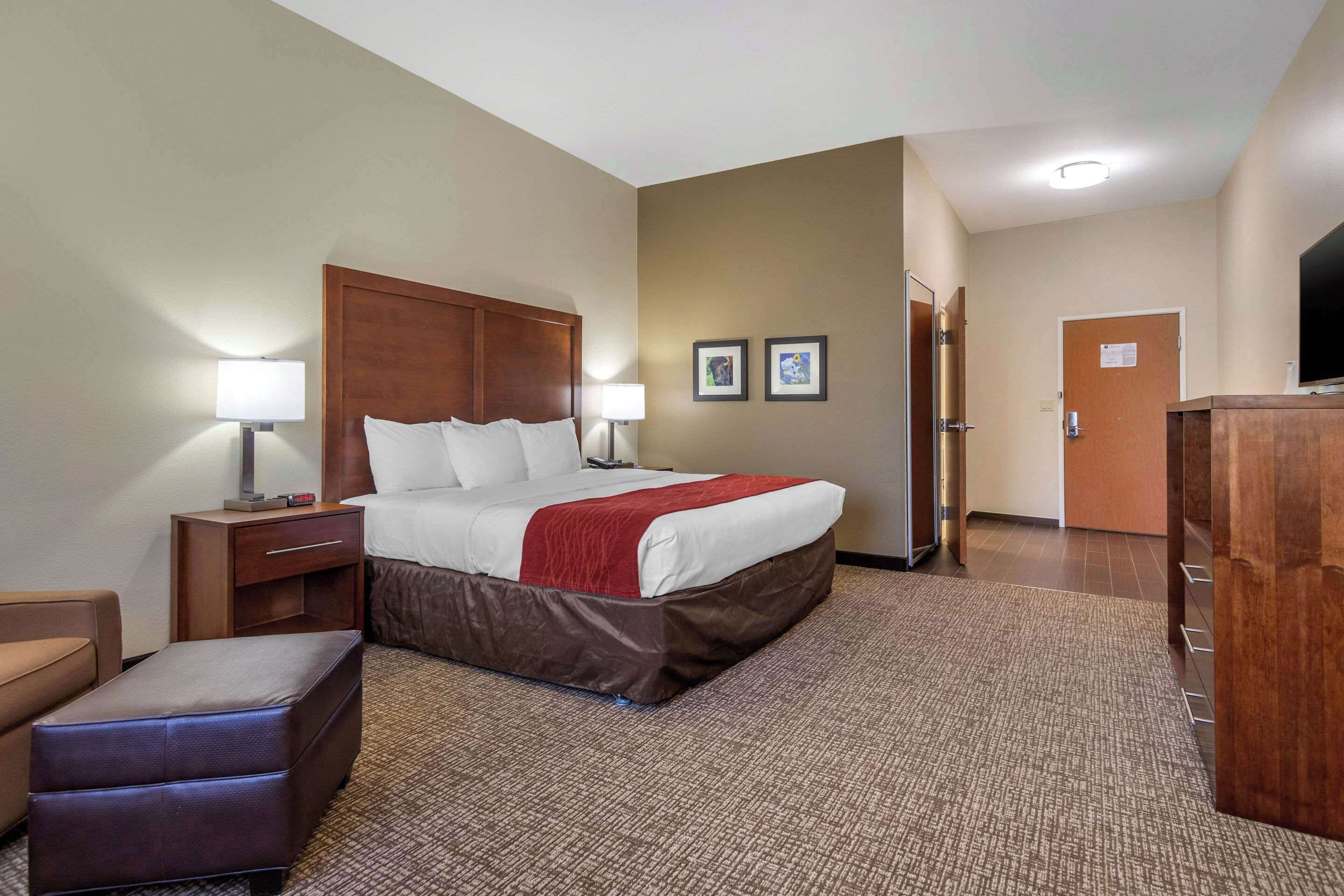 A hotel room with a bed, a desk, a chair, a television, and a carpeted floor.