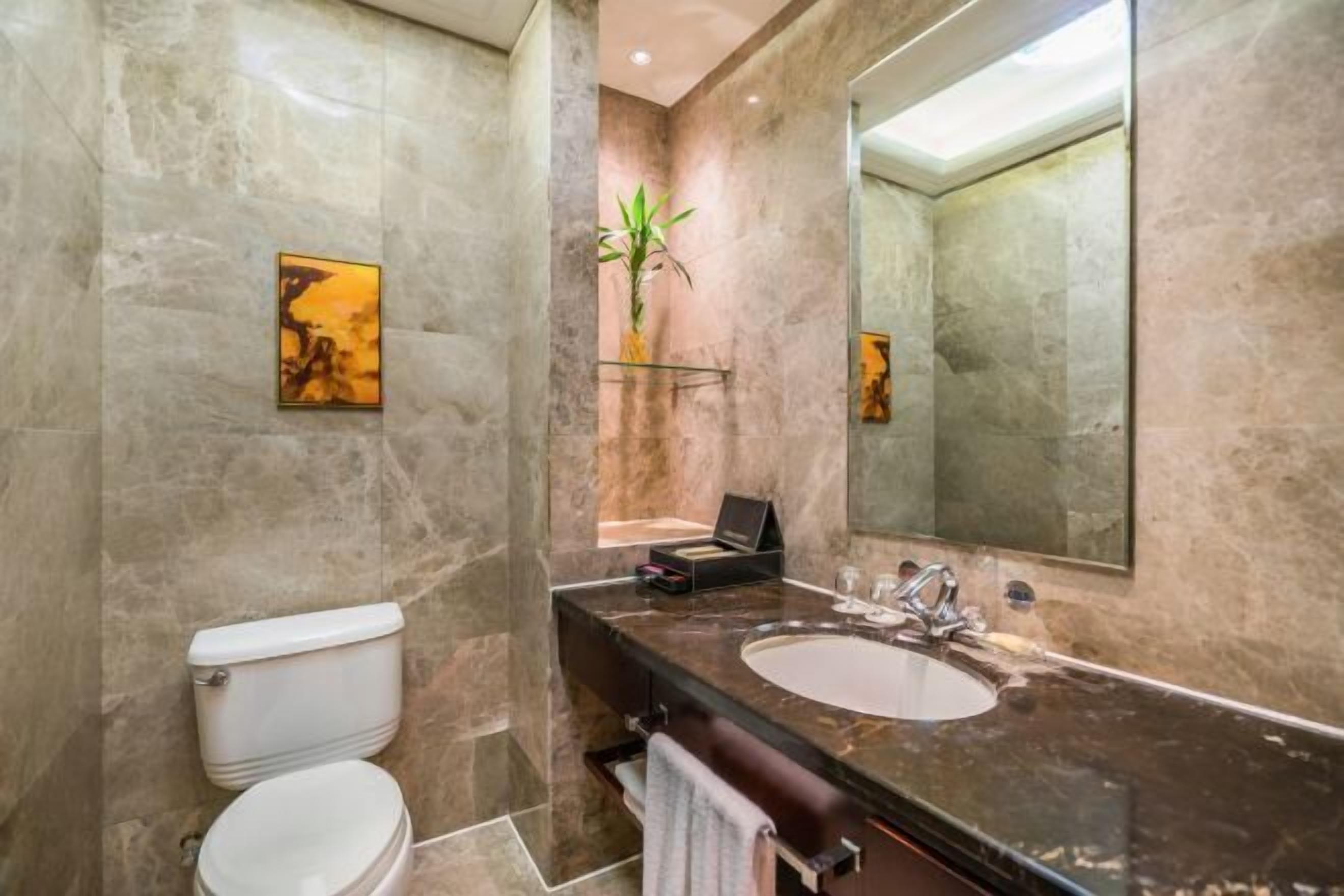 Minibar, Zimmersafe, Bügeleisen/Bügelbrett, Internetzugang