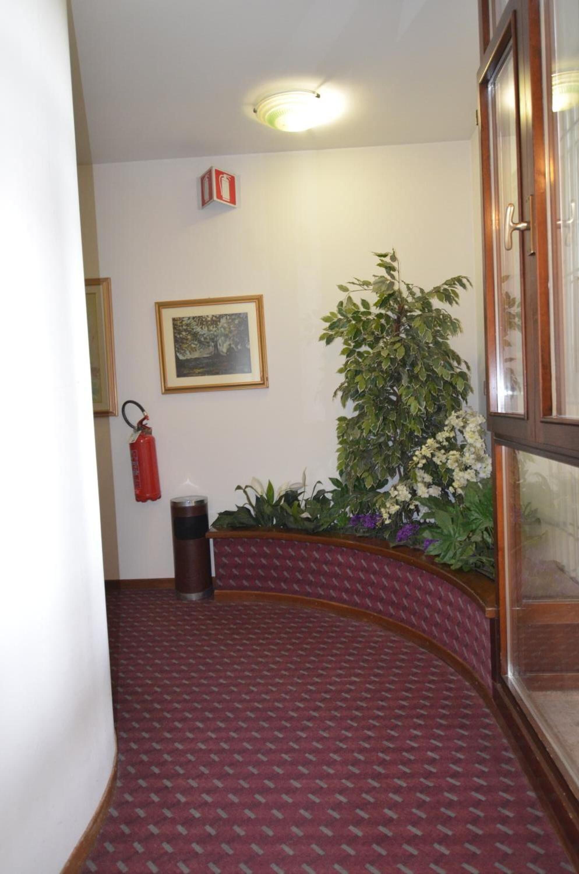 Foto - Hotel Magnolia