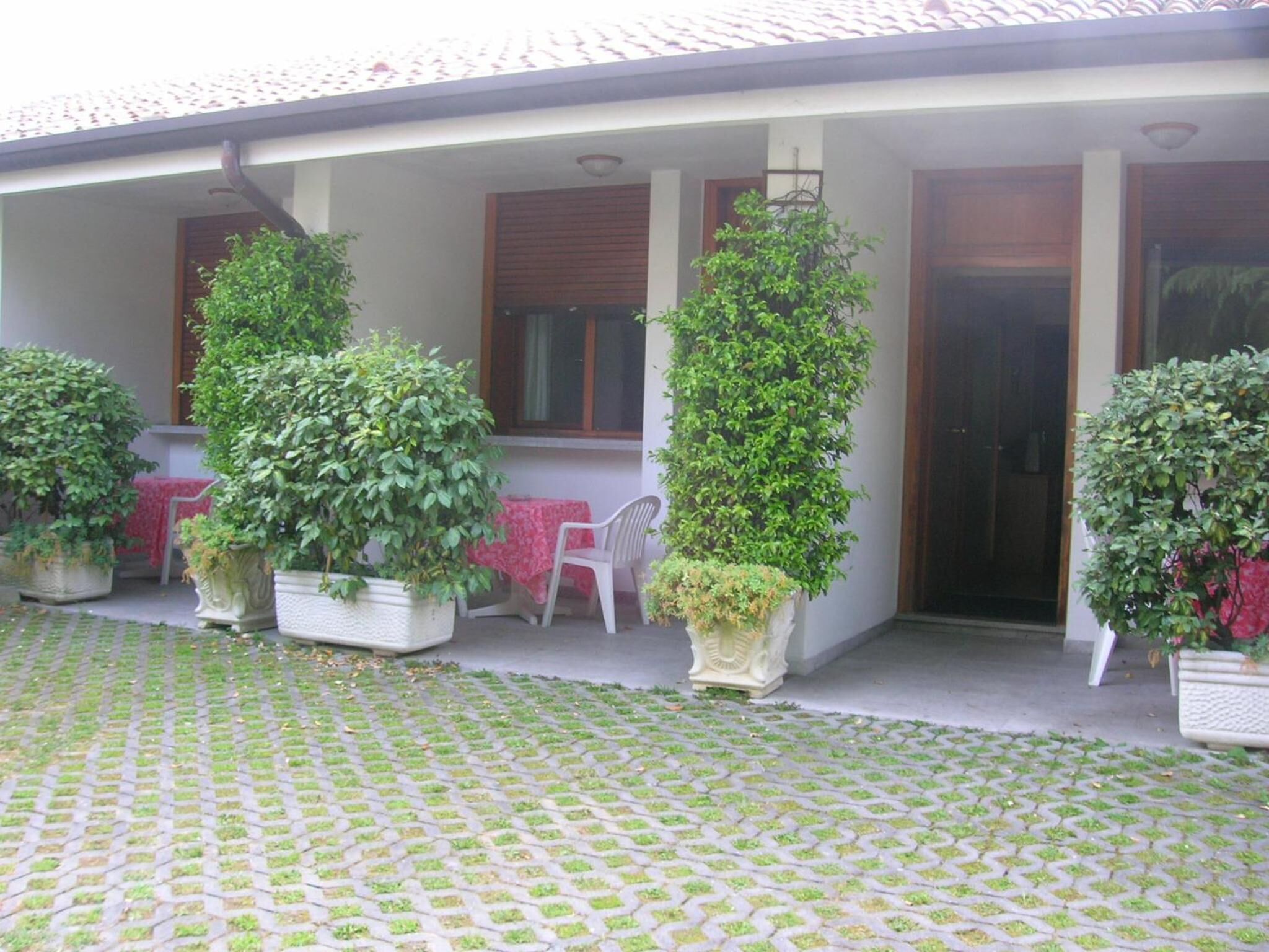 Foto - Hotel Magnolia