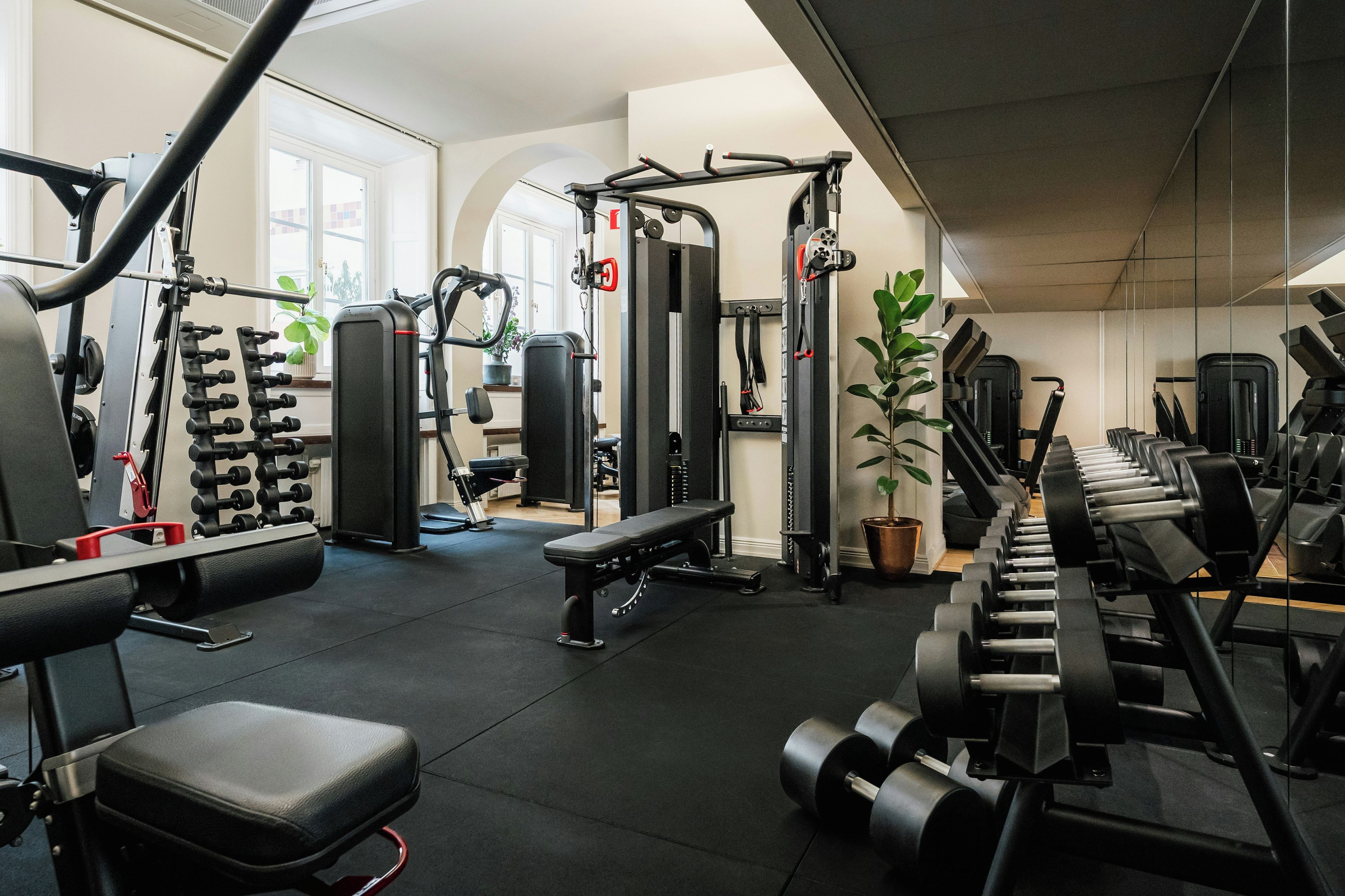 A gym with various exercise equipment, a bench, and a potted plant.