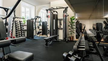 A gym with various exercise equipment, a bench, and a potted plant.
