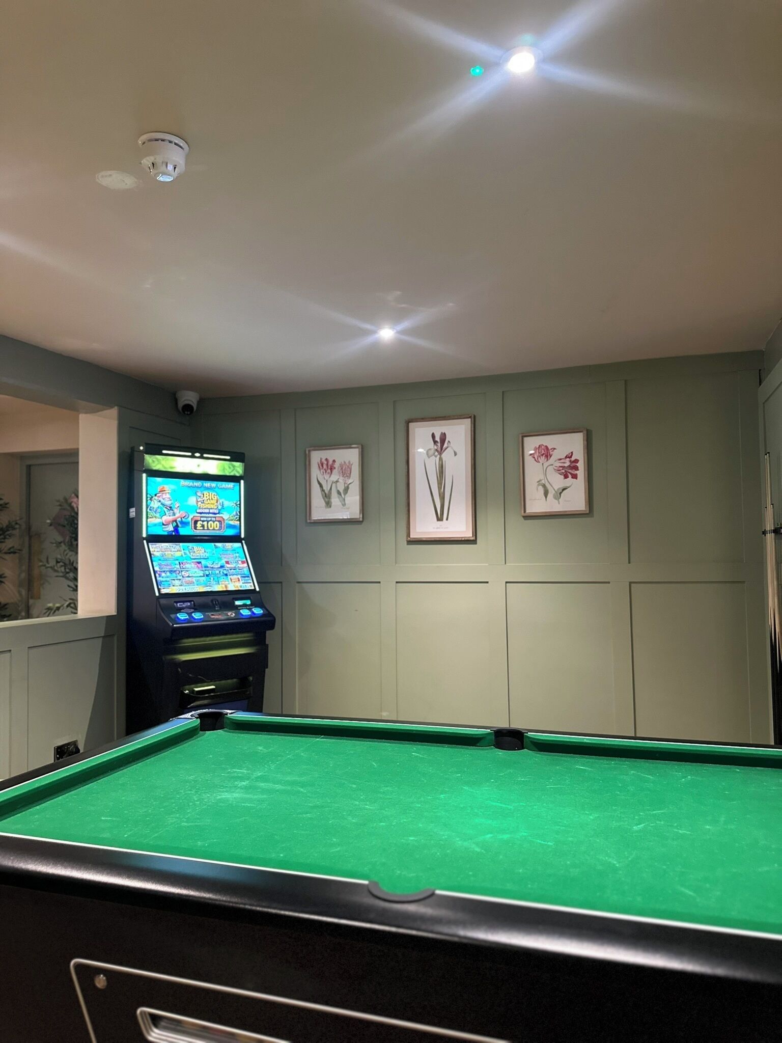 A pool table with a green felt surface, a slot table game machine, and framed botanical prints on the wall.