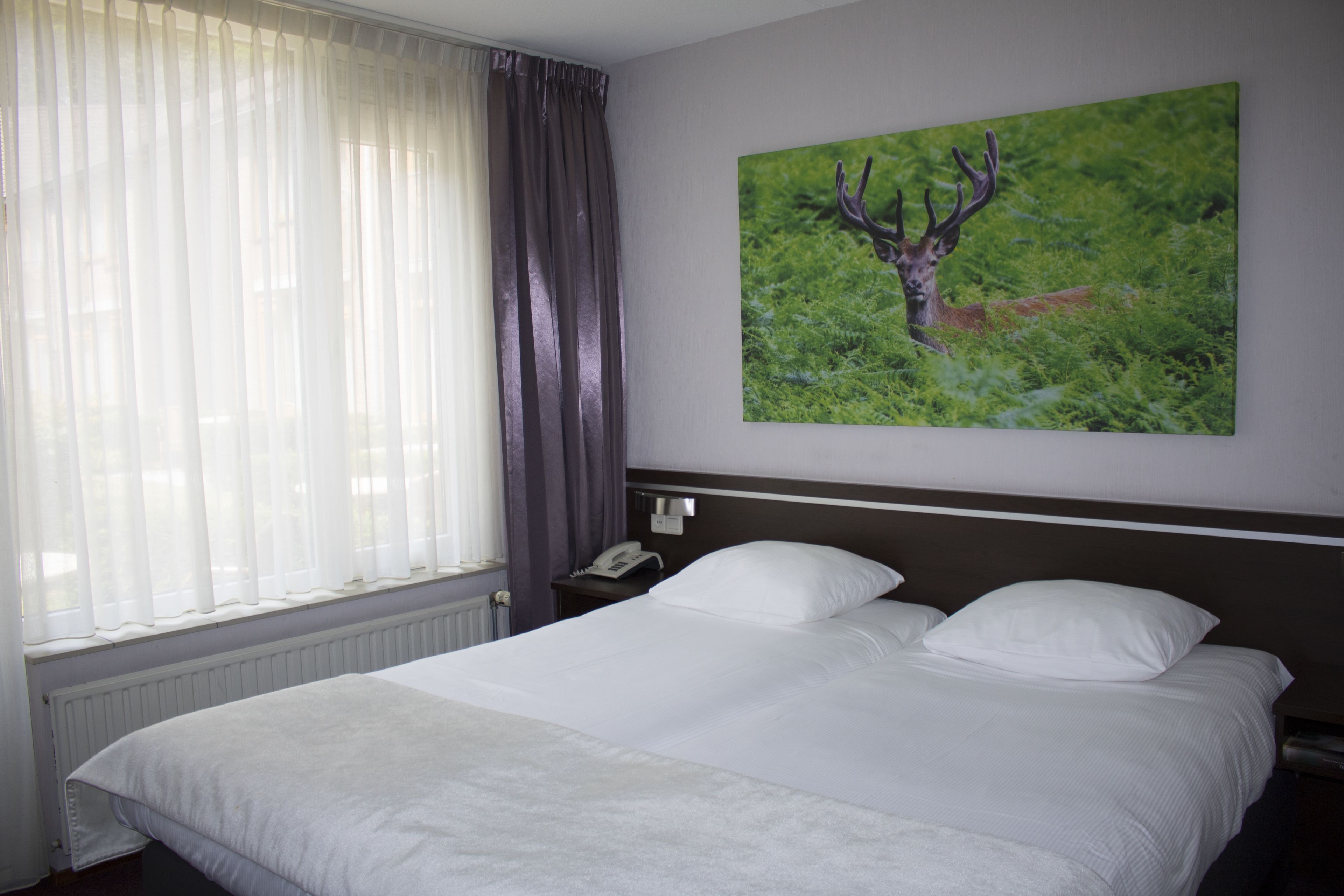 Een hotelkamer met een groot bed, een nachtkastje, een telefoon en een schilderij van een hert op de muur.