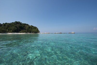 浪中岛莎丽太平洋温泉酒店度假村