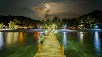 A wooden pier extending into calm water, surrounded by palm trees and illuminated by ambient lighting.