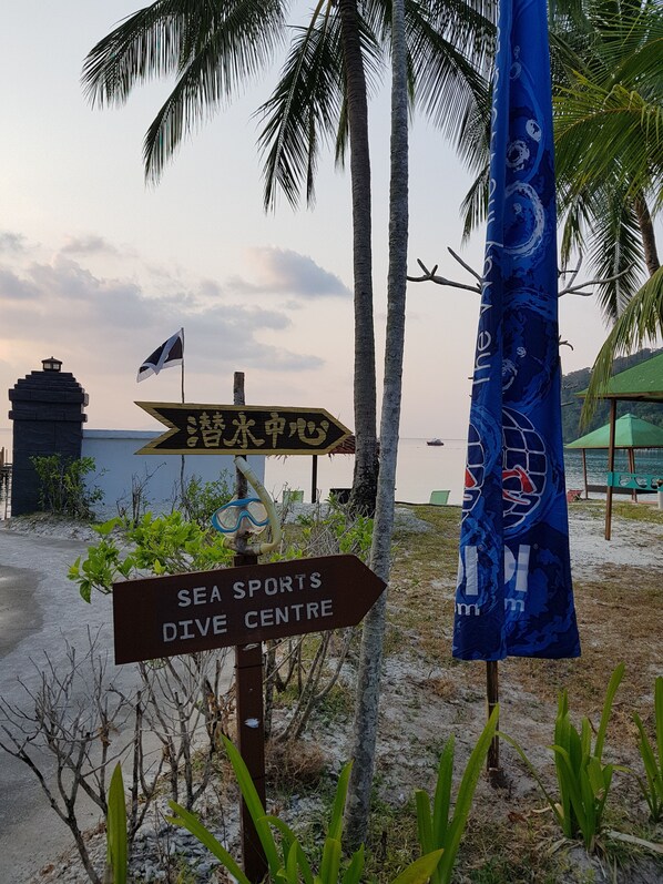 A sign for a Sea Sports Dive Centre with directional arrows, palm trees, and a beach in the background.